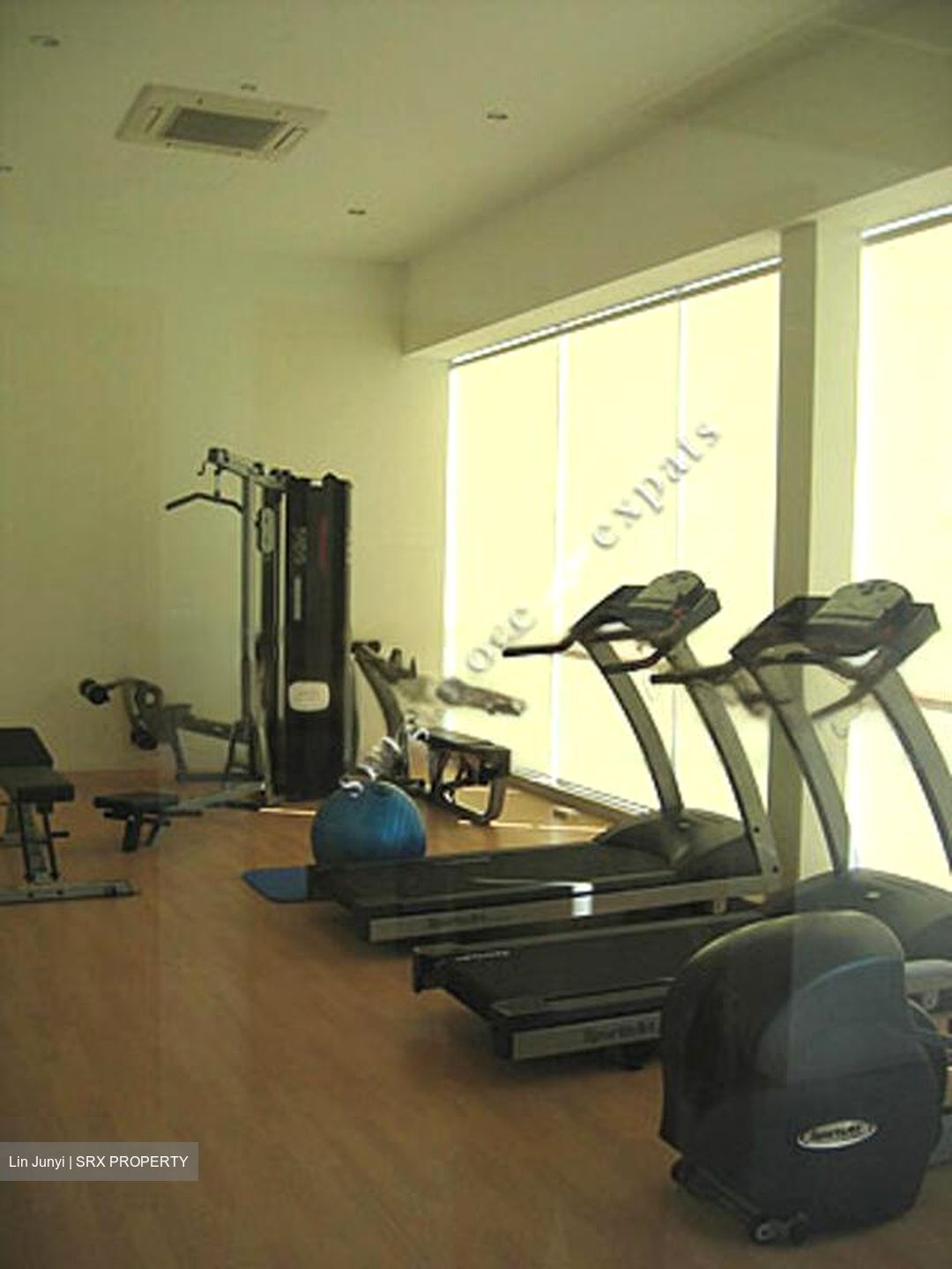 The Linear (D23), Apartment #463146051